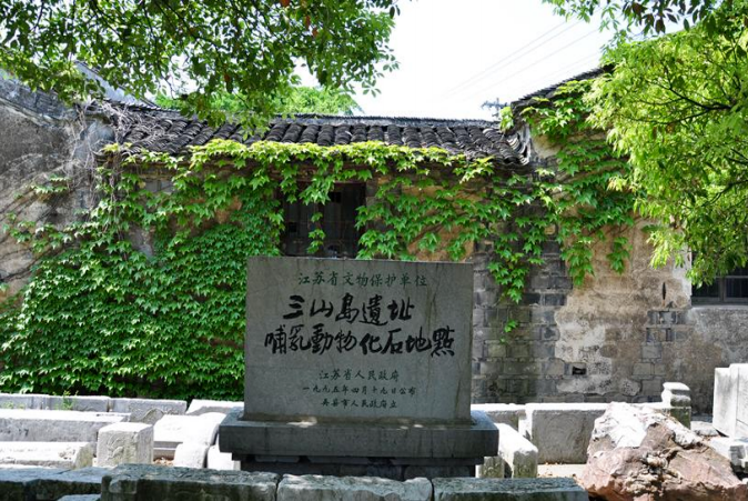 图片19.png