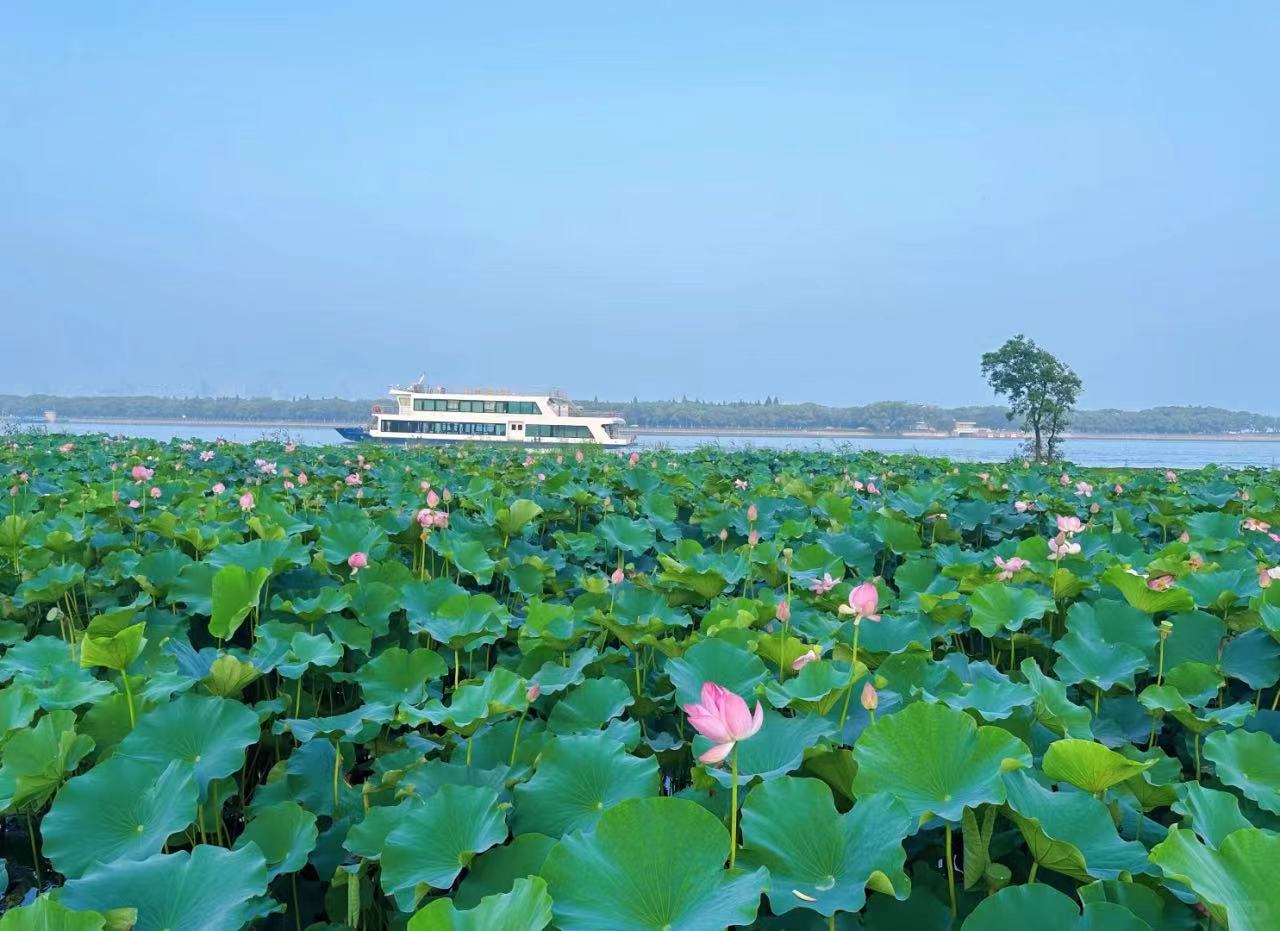 管社山庄湿地.jpg
